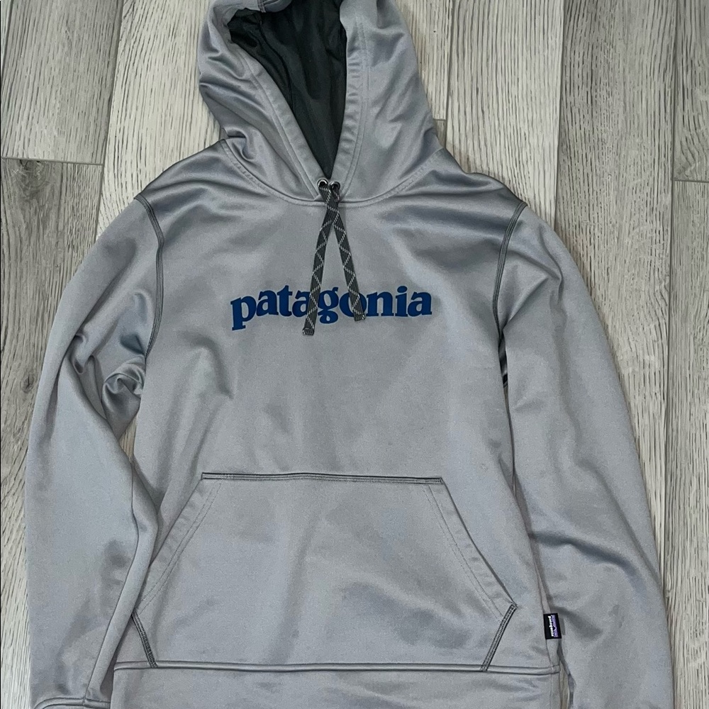 Patagonia Grey Hoodie